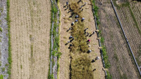 DJI_0004