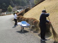 IMG_5498