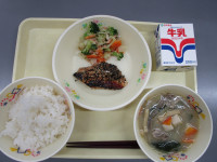 PHOTO044